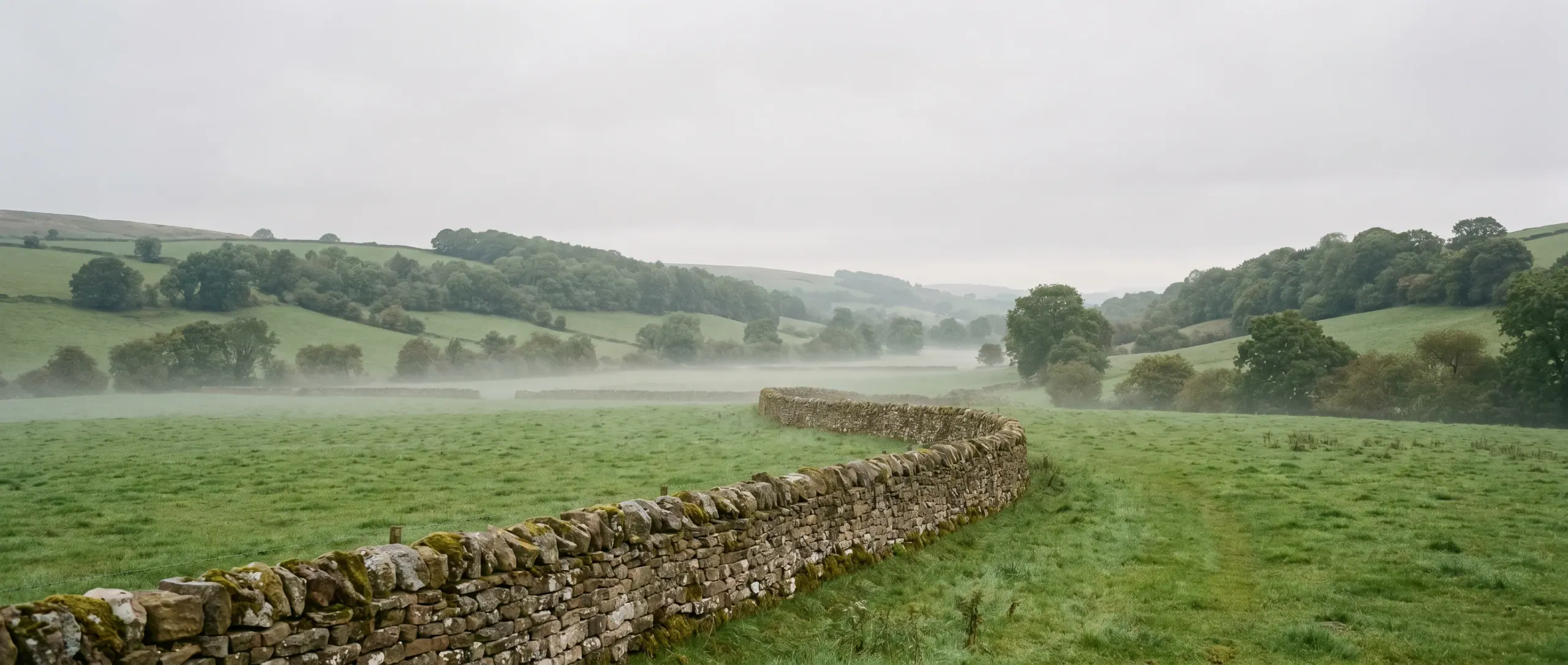 The Severn Valley near Welshpool: low morning mist over green pasture, with a curving dry-stone wall in the foreground.